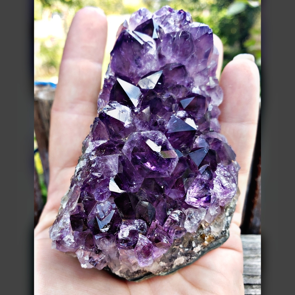 RARE! Raw Uruguayan Amethyst Cluster ~ Display ~ Healing ~ Specimen ~ Quartz